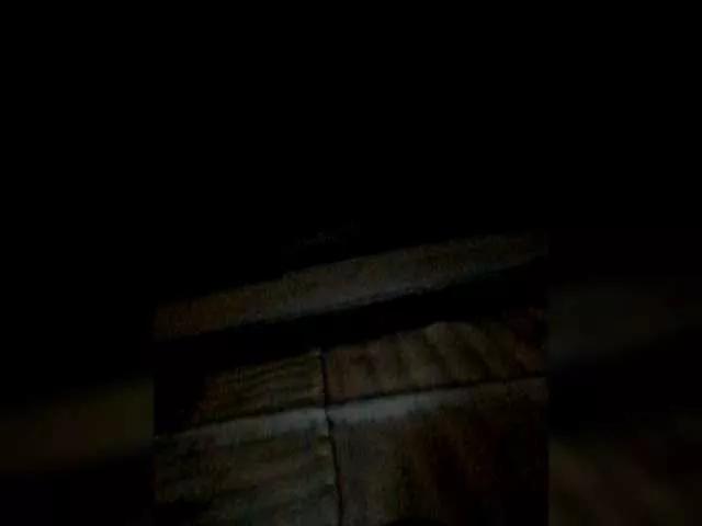 Iriska2025 on BongaCams 