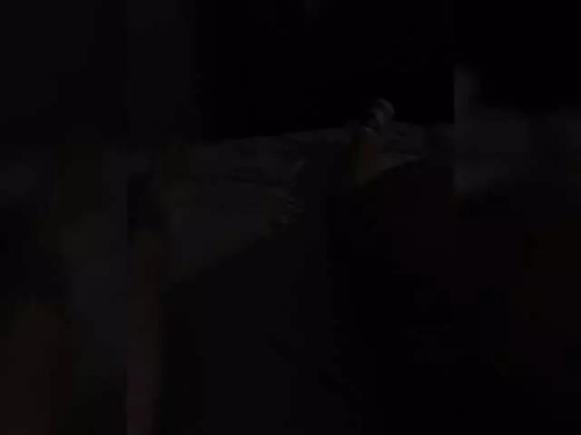 Para-po-paramam on BongaCams 